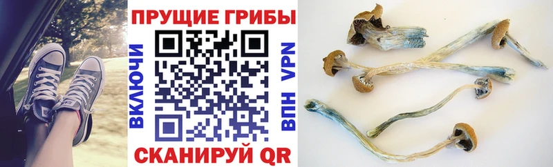 Галлюциногенные грибы ЛСД  купить закладку  Игарка 